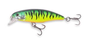 doiyo Concept Survivor