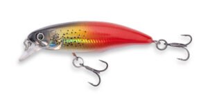 Doiyo Concept Suvivor