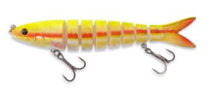 Doiyo Concept Captain Trout