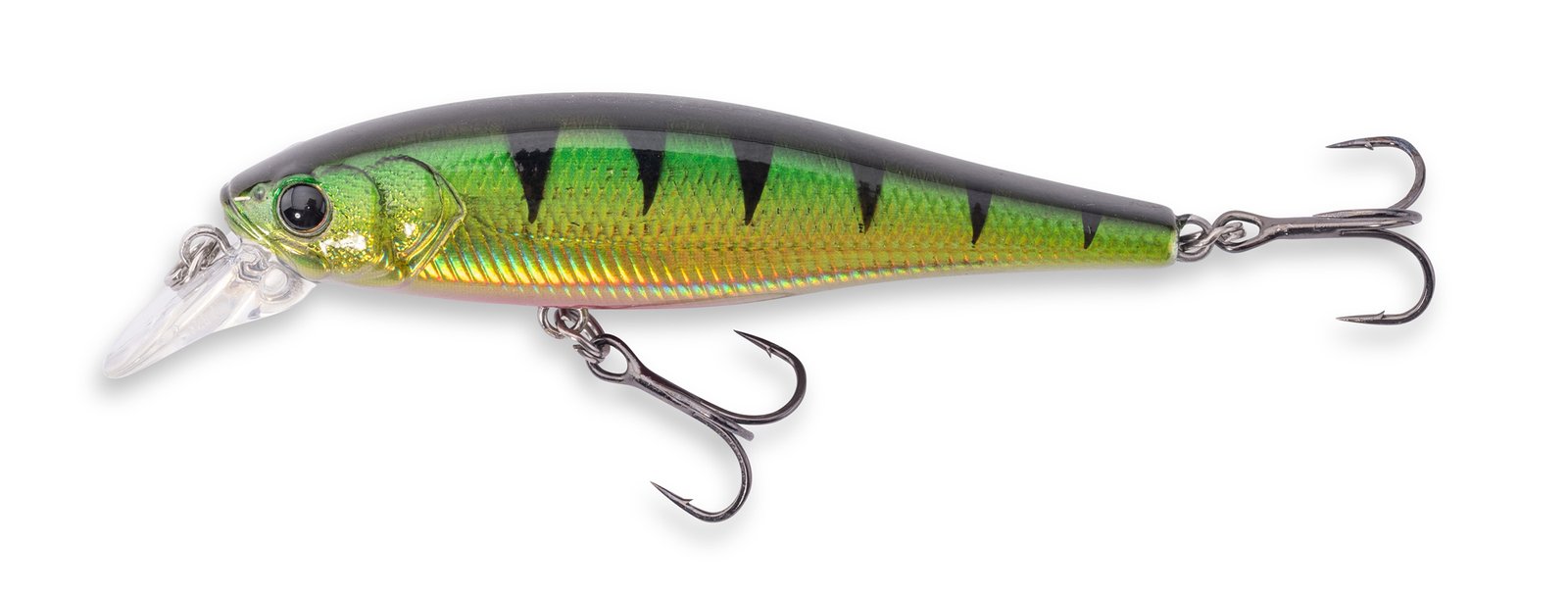 Doiyo Concept Prey Majesty