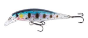 Doiyo Concept Prey Majesty