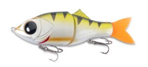 Doiyo Concept Eye Catcher