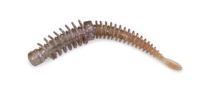 Doiyo S´zuki Ribu Worm 80